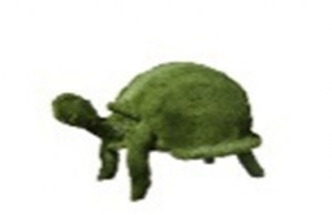 176