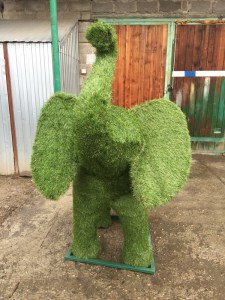 2439