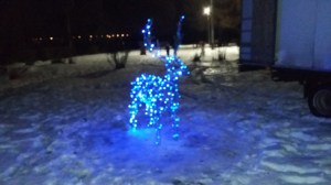 668
