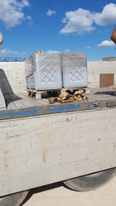 IMG-20200810-WA0002