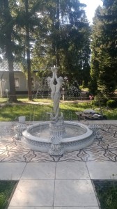 IMG-20220609-WA0001