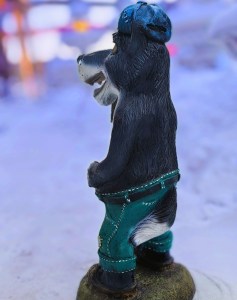 IMG_20240124_111018