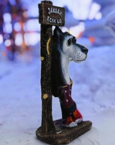 IMG_20240124_111140