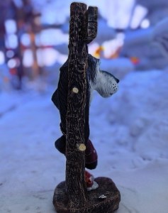 IMG_20240124_111145