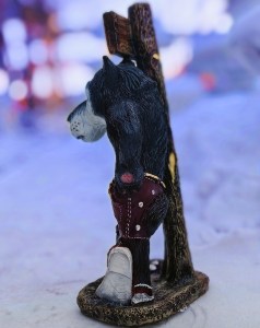 IMG_20240124_111159