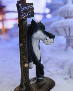 IMG_20240124_111234