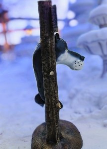 IMG_20240124_111242