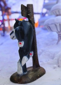 IMG_20240124_111308