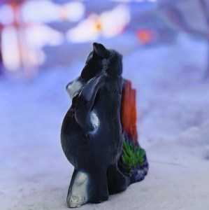 IMG_20240124_1115028