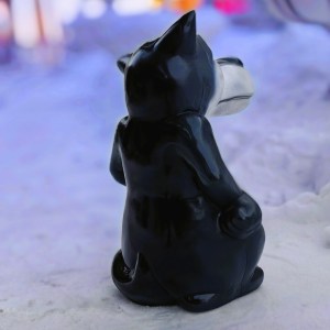 IMG_20240124_111731
