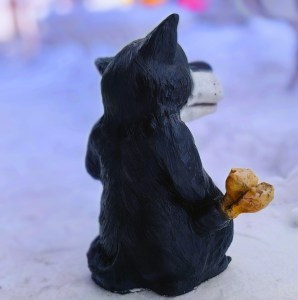 IMG_20240124_112345