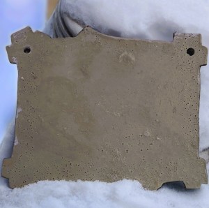 IMG_20240124_112656
