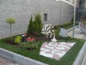 fonar-art-106009.1