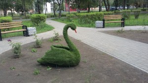 lebed_8