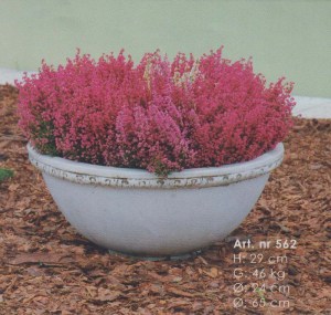 vazon-art-562