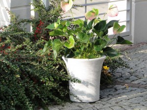 vazon-art-s204055